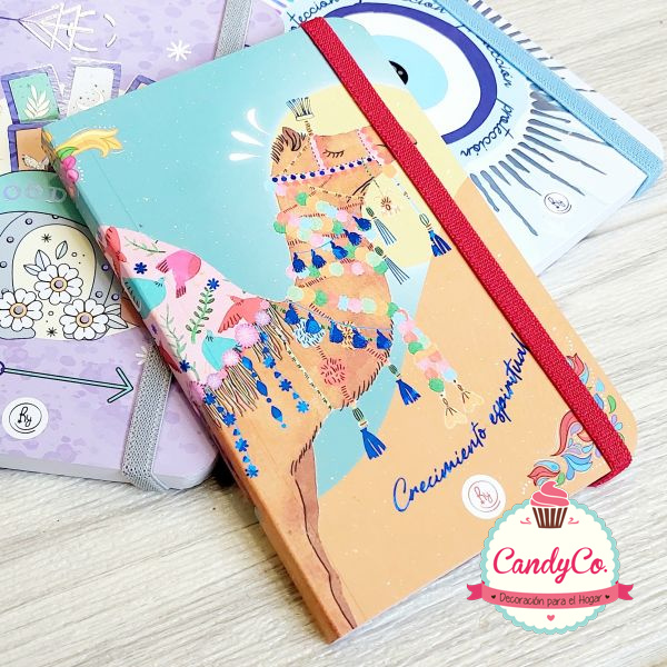 Mini Libretas Infantiles